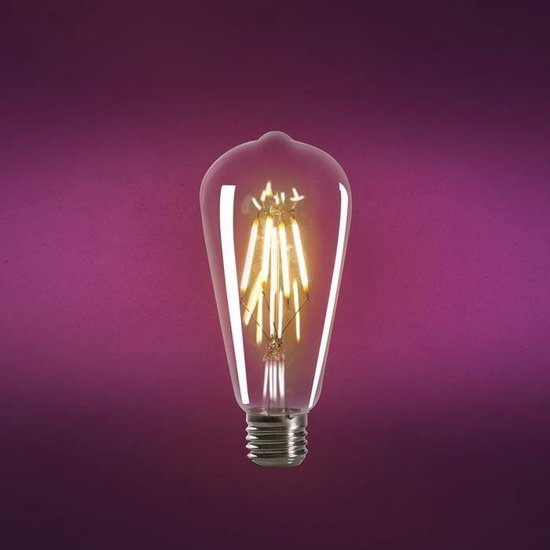 EXPERTLINE Ampoule LED filament ambrée E27 4 W équivalent a 38 W blanc  chaud | bol.com