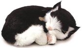 Perfect Petzzz - Soft - Zwart Witte Kitten