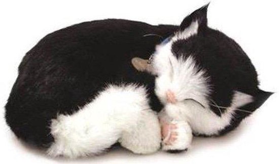 Miljard Verwoesten Macadam Perfect Petzzz Zwart-witte Kitten | bol.com