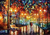 Diamond Painting World - Wandeling in het park schilderij – 30x40cm - Diamond painting - Diamond painting pakket – volledig bedekt – Volwassenen