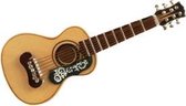 Magneet Spaanse akoestische gitaar bloemig motief