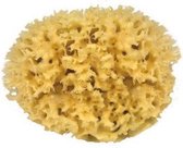 Croll & Denecke Natuurspons – Natuurlijke spons – Badspons – 100% Natuurlijk & Plasticvrij – Vegan - ⌀ 10 cm