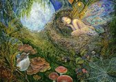 Legpuzzel - 2000 stukjes - Josephine Wall - Fairy Nest - Grafika
