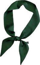 MINIIYOU® Dames haarsjaaltje groen effen 90x5 cm | haar lint - dames haar sjaal | dames haarband | haarsjaal meiden - tieners - dames | sjaaltje - lint
