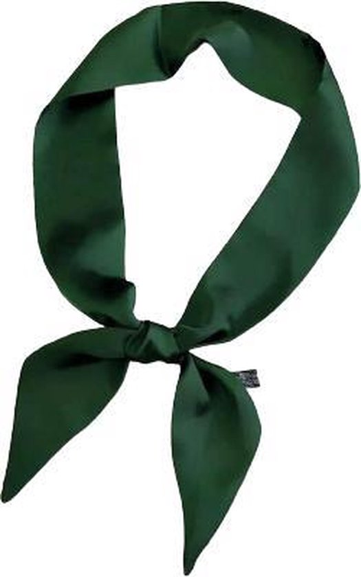 Reductor Onbevredigend oor MINIIYOU® Dames haarsjaaltje groen effen 90x5 cm | haar lint - dames haar  sjaal |... | bol.com
