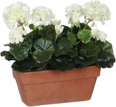 Mica Decorations geranium wit in balkonbak terra maat in cm: 29 x 13 x 40 - WIT