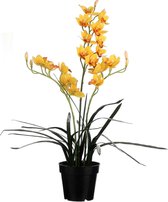 Mica Decorations cymbidium in plastic pot geel maat in cm: 35 x 35 x 92 - GEEL