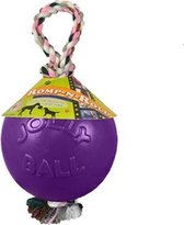 Jolly Romp-n-Roll Small (4 inch) 11 cm paars