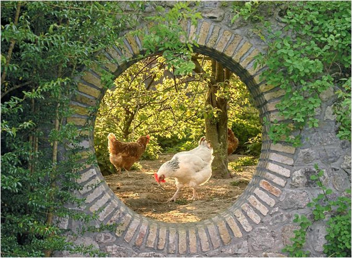 Tuindoek doorkijk - 130x95 cm geheime tuin met scharrelkippen - tuinposter - tuin decoratie - tuinposters buiten - tuinschilderij