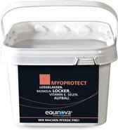 Myoprotect Powder - Equinova Supplement