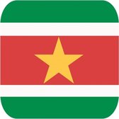 45x Bierviltjes Surinaamse vlag vierkant - Suriname feestartikelen - Landen decoratie
