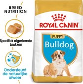 Royal Canin Bulldog Puppy - Nourriture pour chiens - 12 kg