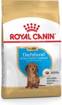 Royal Canin Dachshund Puppy - Aliments pour chiens - 1,5 kg