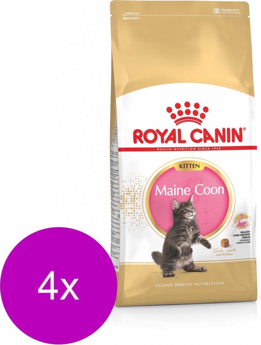 Royal Canin Royal Canin Maine Coon Kitten - Kitten-Kattenvoer - 4 x 4 kg