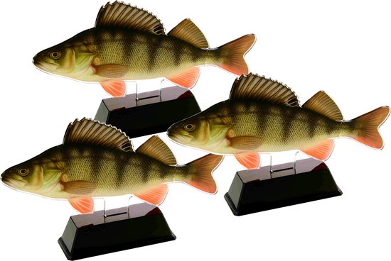 Vistrofee Real Fish Baars 20 cm Prijs Roofvis Wedstrijd Viswedstrijd Visprijs Wedstrijdprijzen Vis van Vistrofee — afbeelding 3