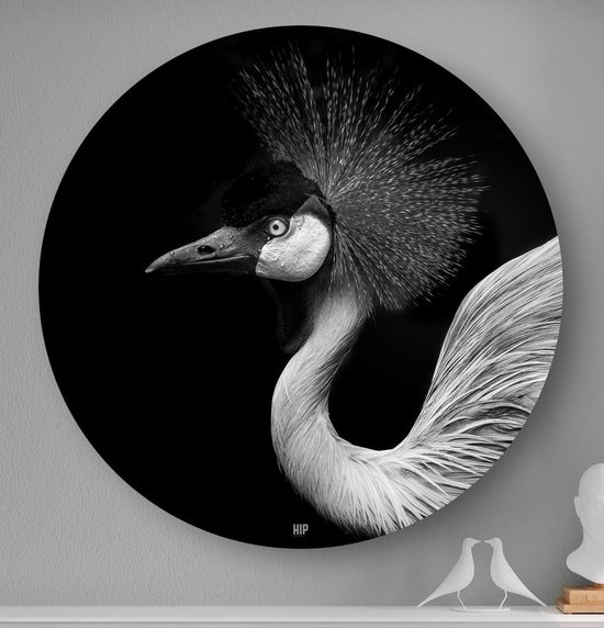 Schilderij Witte Uil - zwart/wit/grijs - 40x50 cm | Leen Bakker