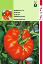 2 stuks Hortitops Tomaten Marmande Vleestomaat