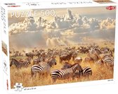 Puzzel Animals: Zebra Herd - 500 stukjes
