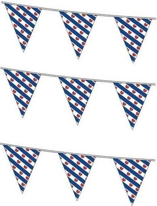 Friesland versiering vlaggetjes slinger voor binnen/buiten 3x10 meter -  vlaggenlijn | bol.com
