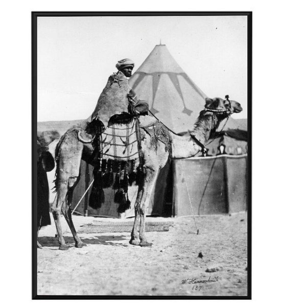 Arabische poster met man op de kameel in de Sahara, Islamitische poster,  fotolijst inbegrepen.