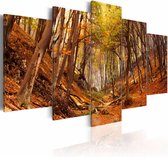 Schilderij - Oranje Herfst, 5luik , premium print op canvas