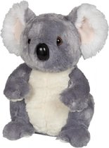 Pluche grijze koala knuffel 30 cm - Koala Australische buideldieren knuffels - Speelgoed voor kinderen
