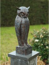 Tuinbeeld - bronzen beeld - Uil - 50 cm hoog