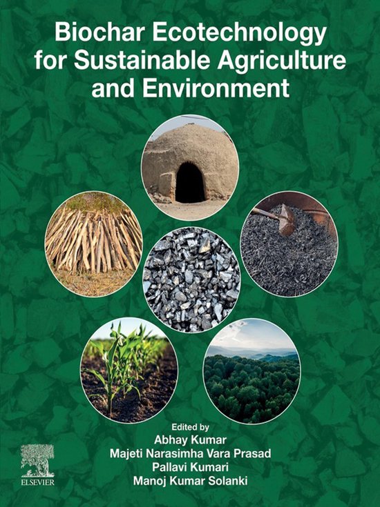 Biochar Ecotechnology for Sustainable Agriculture and Enviro ... - cover