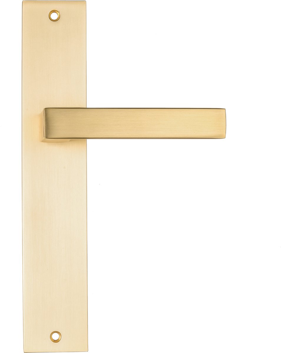 Ostiumhome® Alassio - Deurklink op schild - Deurbeslag - 245 mm - Geschikt voor binnendeuren - Mat goud