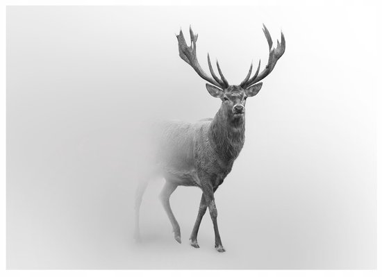 WALLARENA - Fotobehang - 300x210 cm - Herten dieren mist voor slaapkamer woonkamer behang