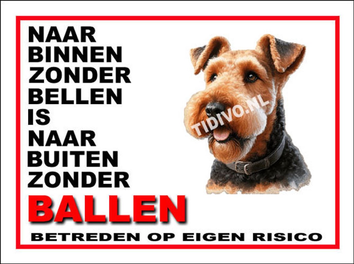 Airedale Terrier 11