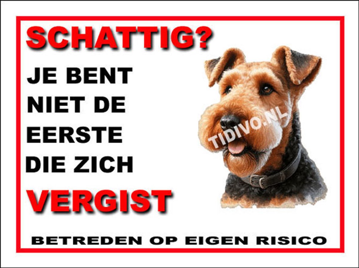 Airedale Terrier 14