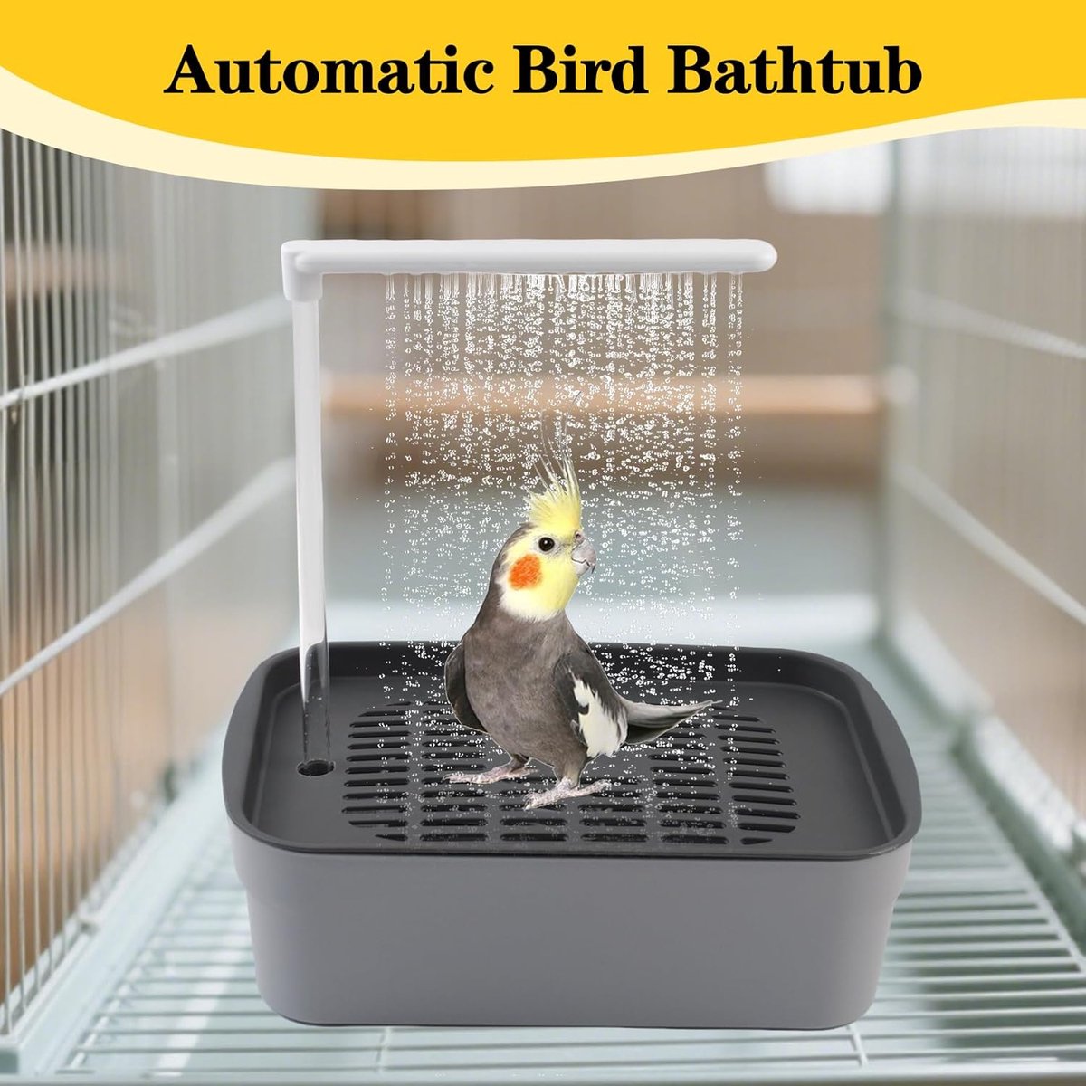 QUETHEDS Baignoire Pour Oiseaux - Fontaine Automatique Pour Perroquets Et Petits Animaux De Compagnie - Pour Perruches, Calopsittes