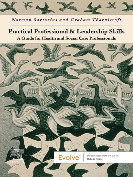 Practical Professional and Leadership Skills - E-BOOK - cover