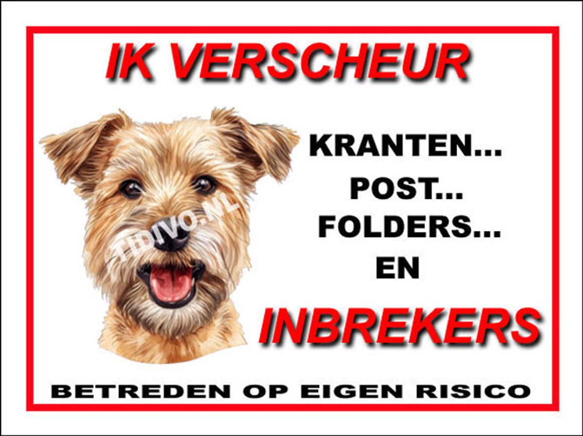 Lucas Terrier 8