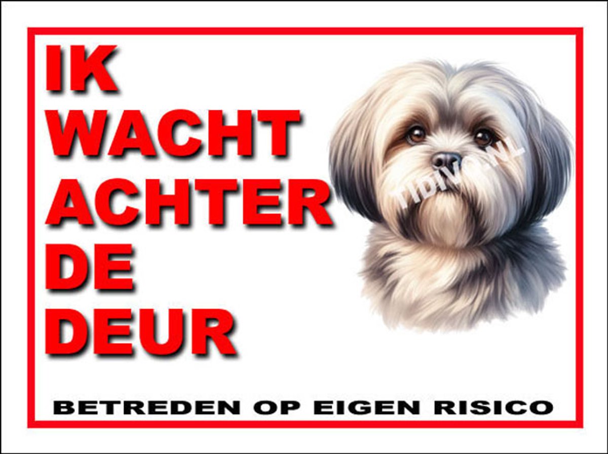 Lhasa Apso 10
