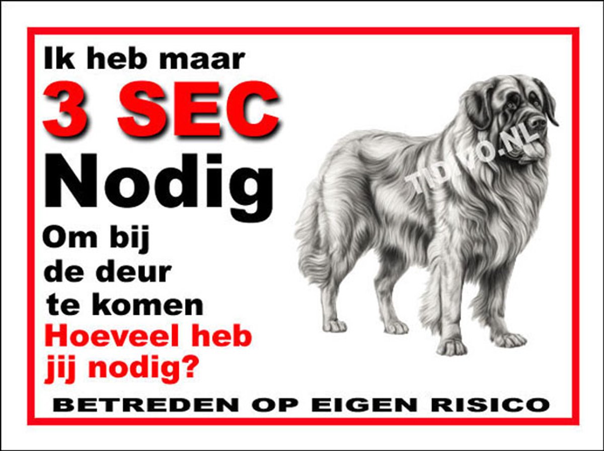 Leonberger 6