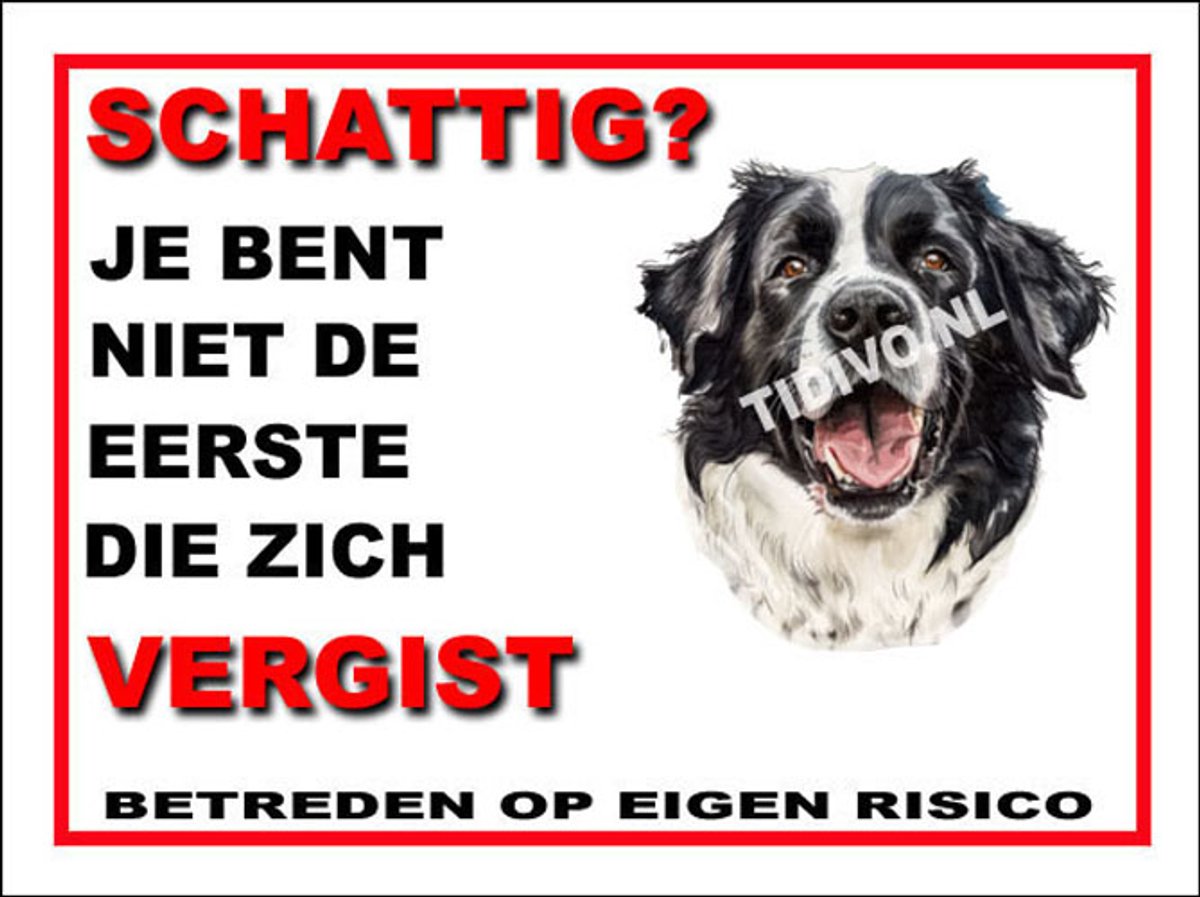 Landseer ECT 14