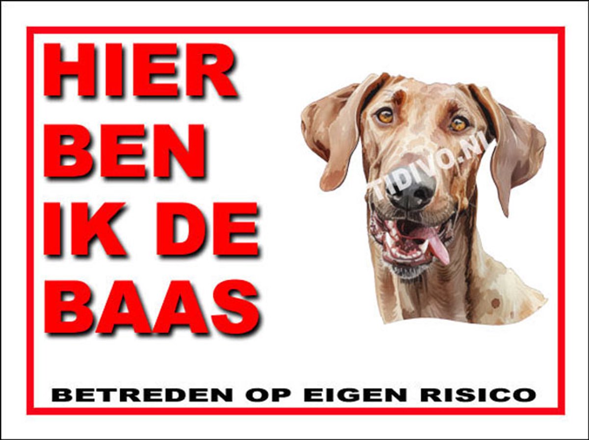 Mudhol Hond 2