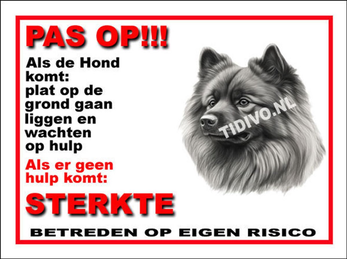 Keeshond 12