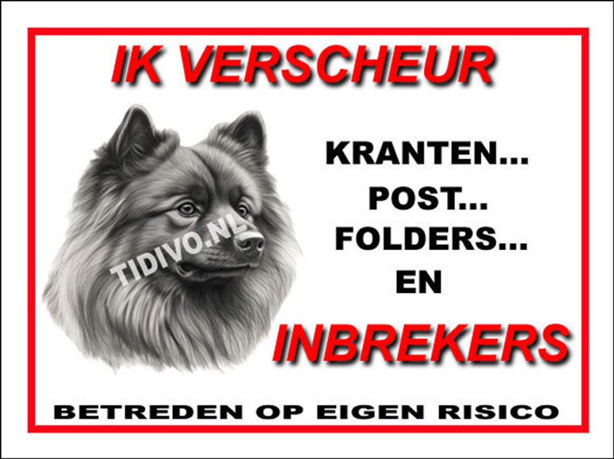 Keeshond 8