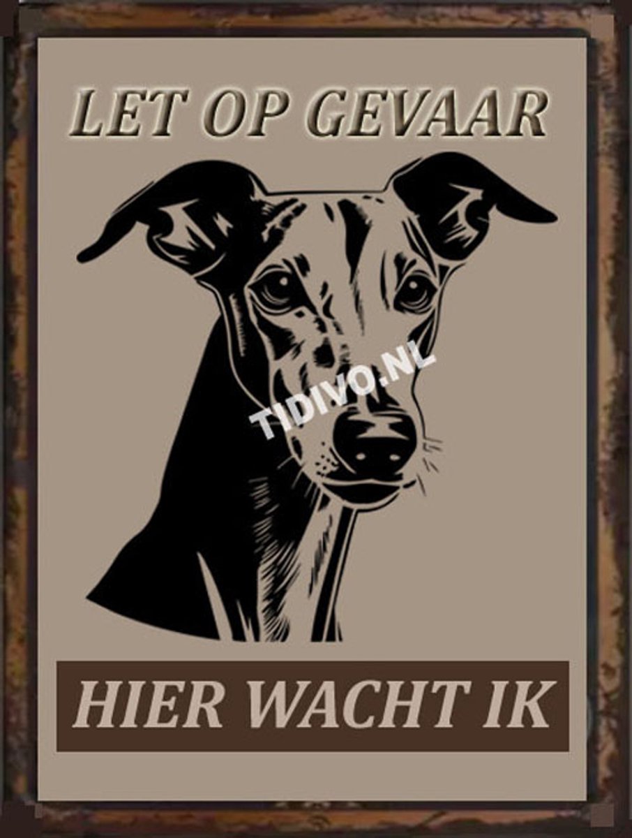 Greyhound 18