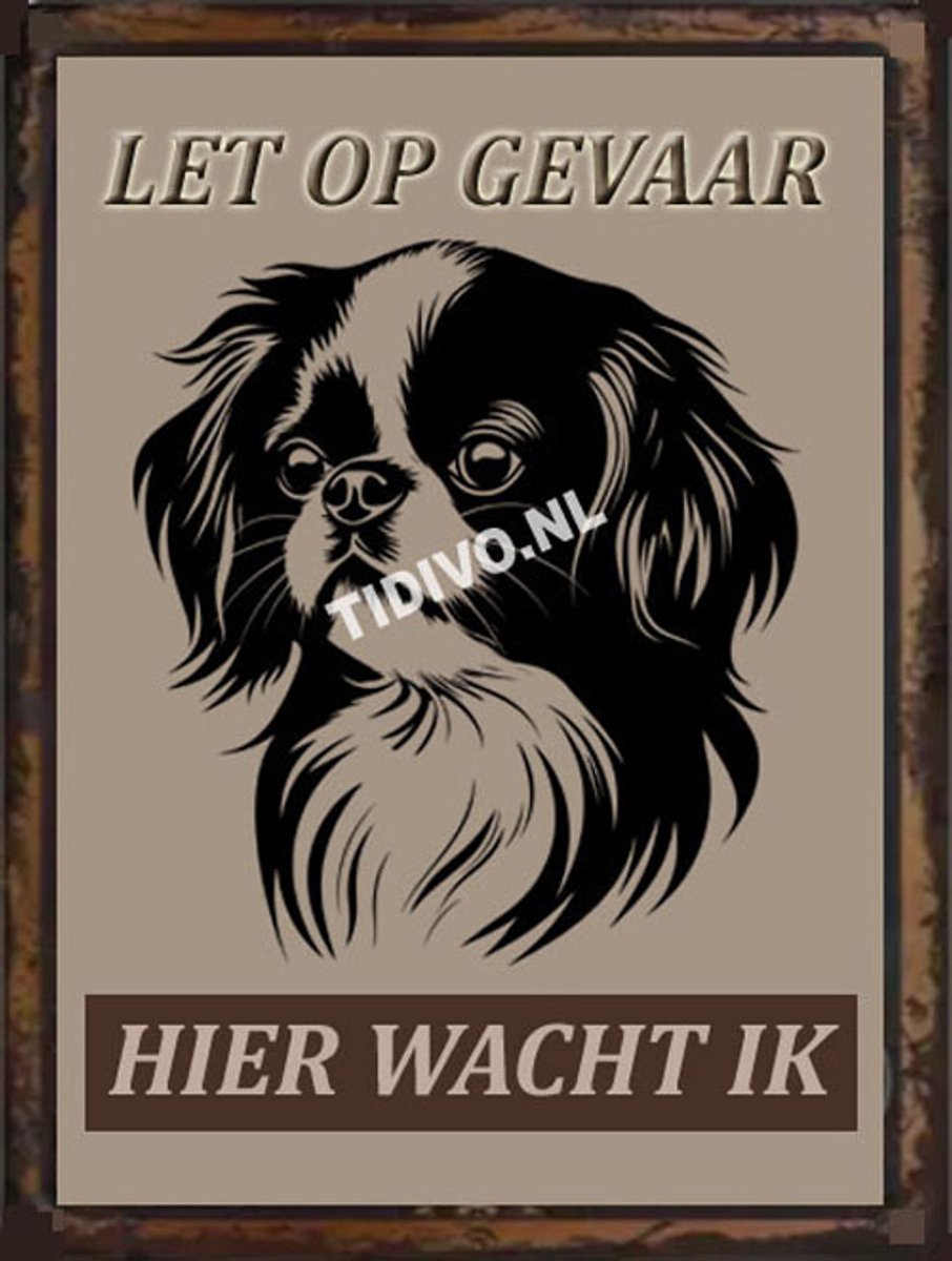 Japanse Spaniel 18