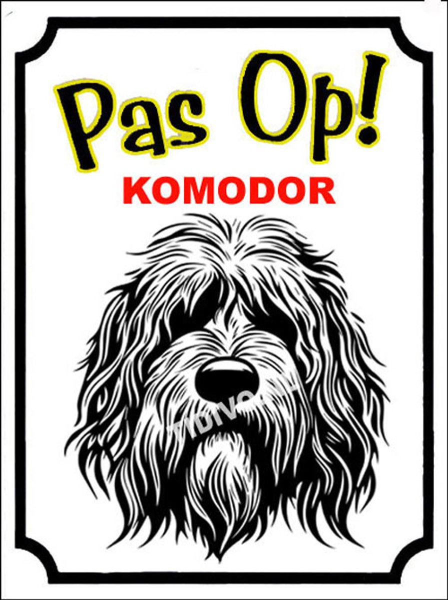Komondor 16
