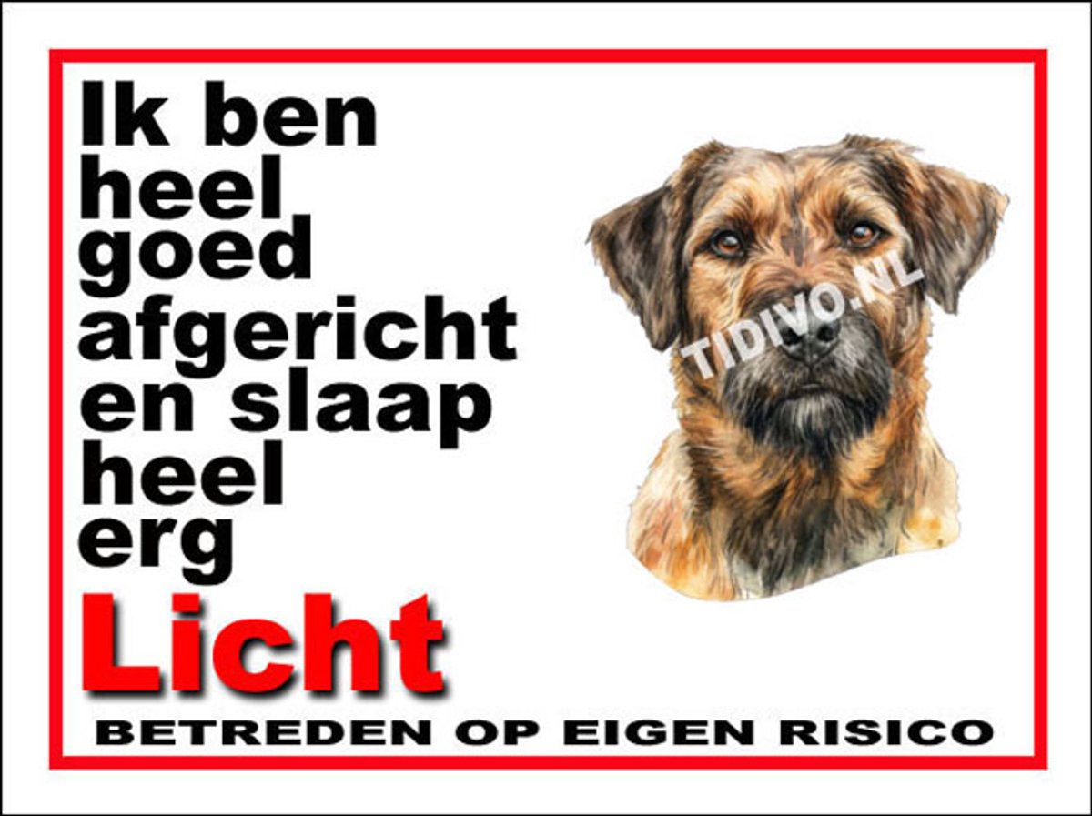 Kromfohrländer 4