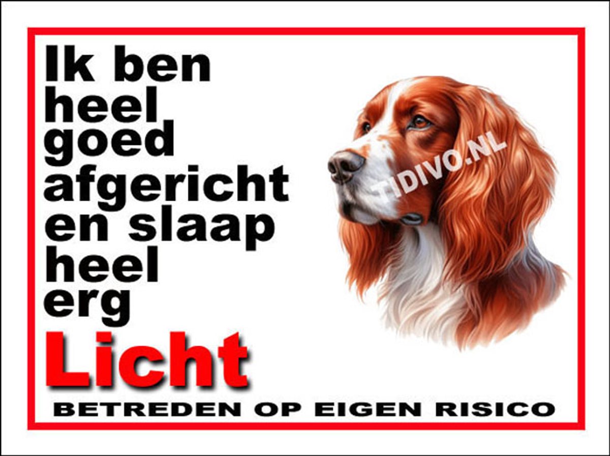 Ierse Setter 4