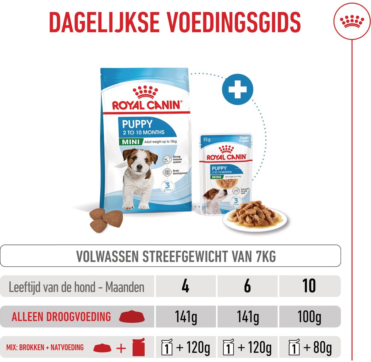 Royal Canin Mini - Puppy - 800 g - Hondenvoer thumbnail 6