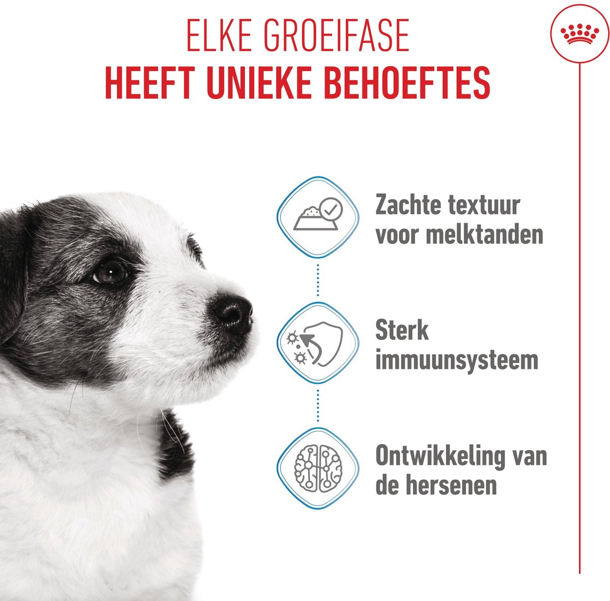 Royal Canin Mini - Puppy - 12 x 85 g - Natvoer Hond - Pouch thumbnail 3