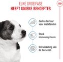 Jonge hond met teksten die zachte textuur, sterk immuunsysteem en hersenontwikkeling benadrukken.