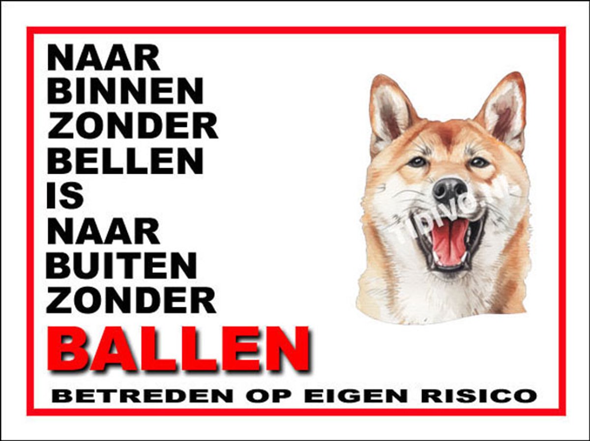 Kishu 11